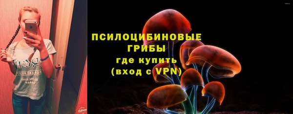 МДПВ Киреевск