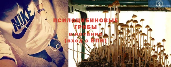 МДПВ Киреевск